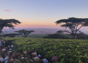 Clima y migración: un campo aún sin explorar