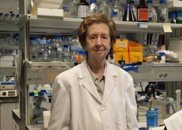 La científica Margarita Salas, galardonada por partida doble en los Premios al Inventor Europeo 2019