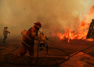 Las imágenes del día, 13/11/2019