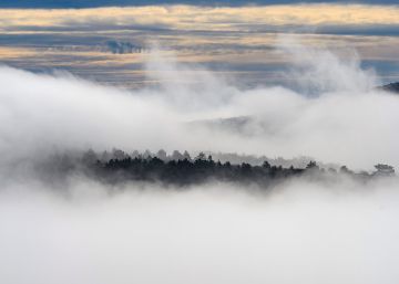 Las imágenes del día, 14/11/2019
