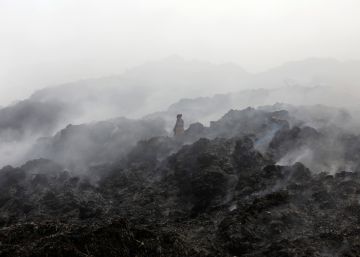 Las imágenes del día, 18/11/2019