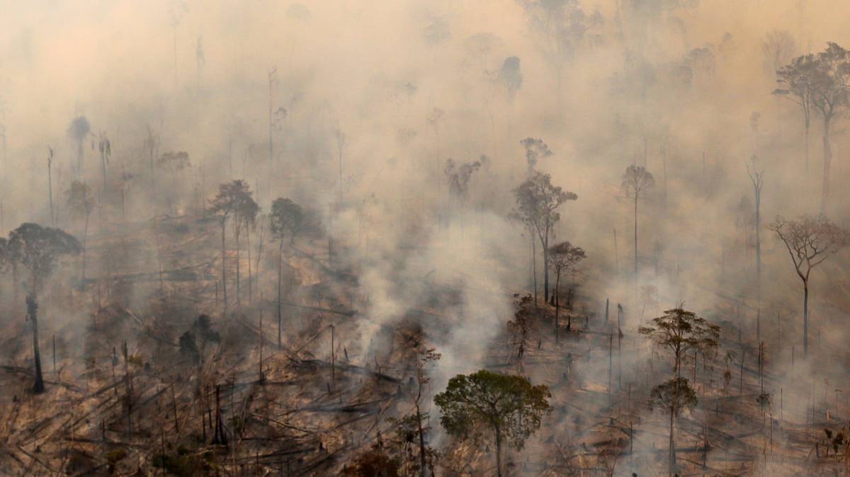 Incendio en la selva amazónica cerca de Porto Velho.