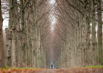 Las imágenes del día, 02/12/2019