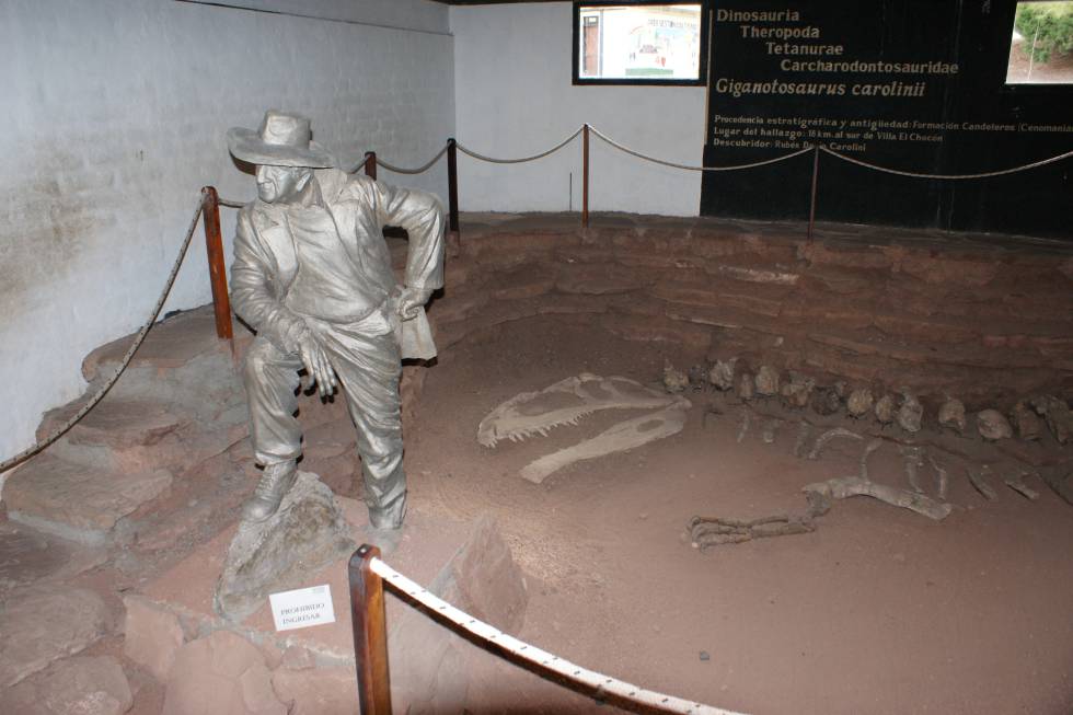 En el Museo de Villa El Chocón se exhibe una escultura del mecánico Rubén Carolini, que halló el 'Giganotosaurus' que lleva su apellido, junto a las piezas originales del esqueleto.