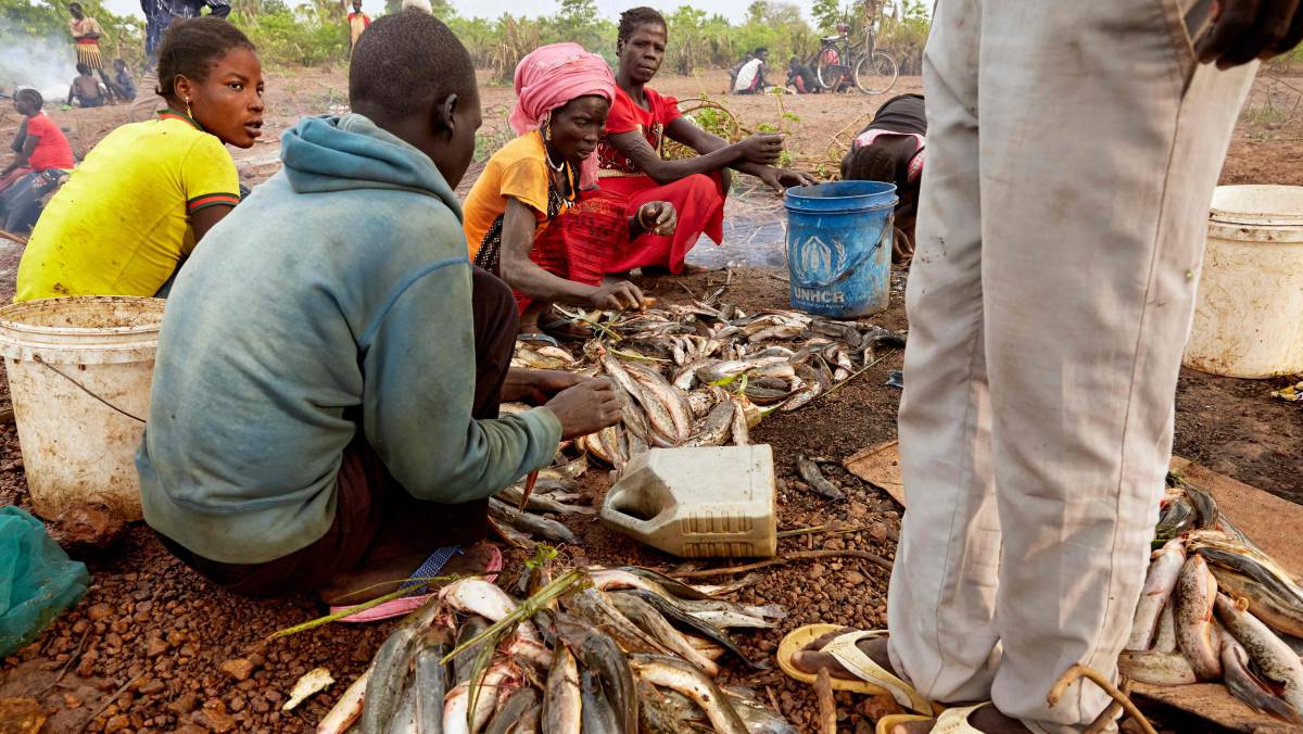 Los refugiados y la comunidad local de acogida se preparan para cocinar pescado juntos en un arroyo formado por las intensas inundaciones en Maban (Sudán del Sur), el 27 de noviembre.