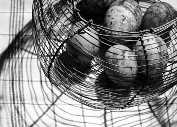 Francia inventa el huevo que no mata a la gallina