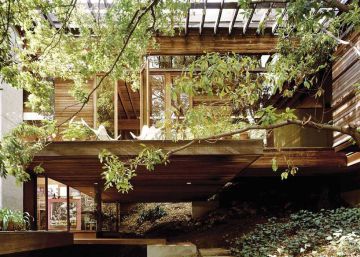 La arquitectura no tiene que hacerlo todo, la naturaleza puede ayudar