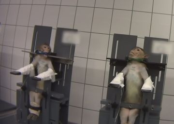 Hay mucho intrusismo