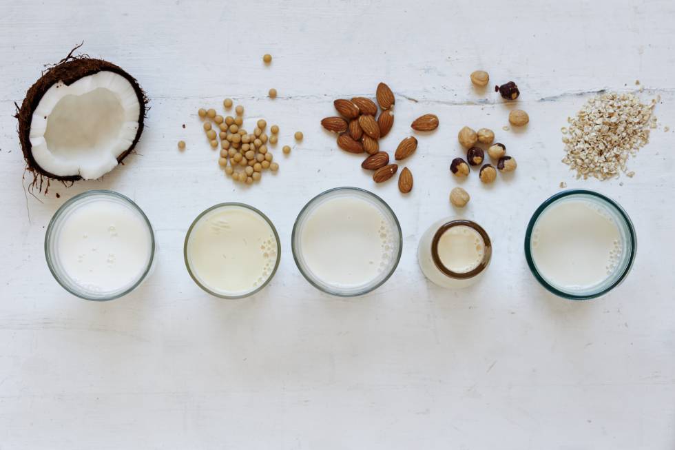 leche de avena o de soja cual es mejor