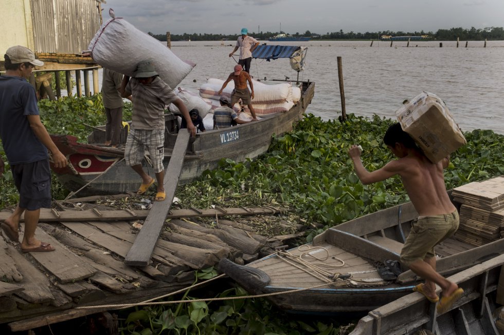 Resultado de imagen de La última esperanza para el delta del Mekong