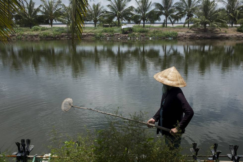 Resultado de imagen de La última esperanza para el delta del Mekong