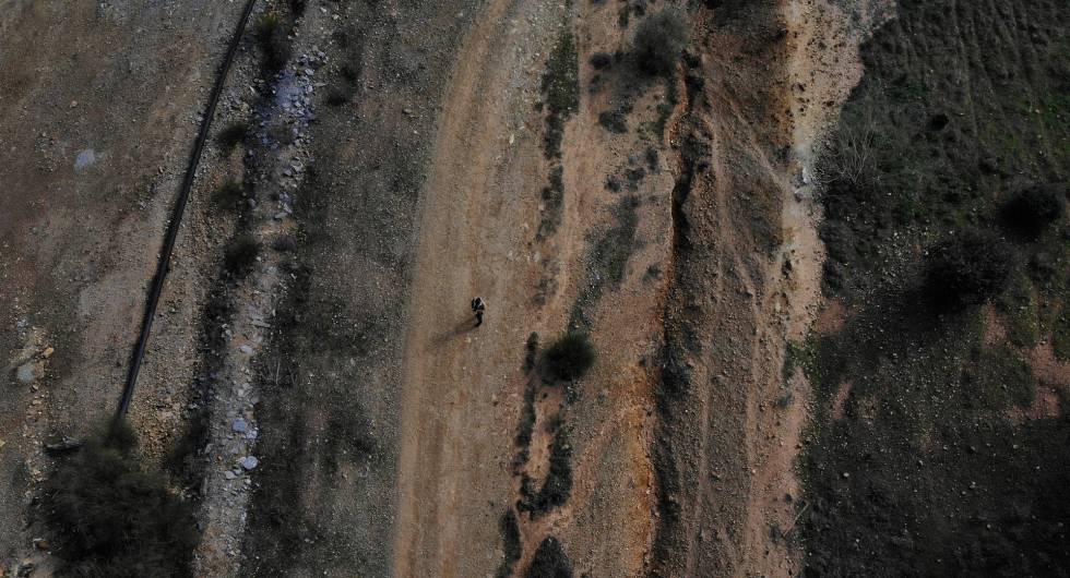 Un hombre pasea por el corredor verde creado en la zona afectada por el vertido de Aznalcóllar hace 21 años. La imagen refleja una zona con vegetación renacida y otra donde no ha crecido nada en estos años por la contaminación latente.rn 