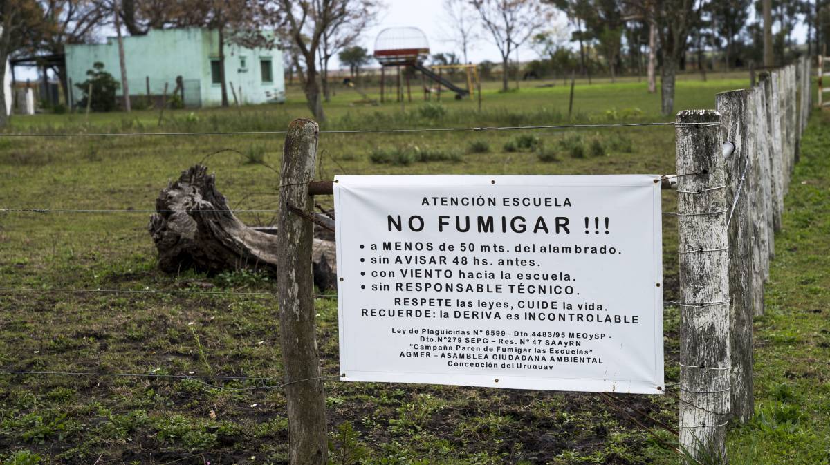 El gran problema de las escuelas fumigadas