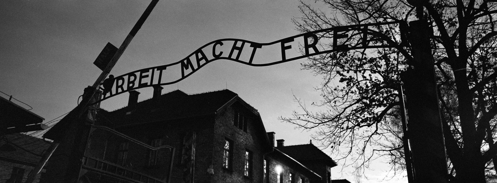 Fotos: El horror de Auschwitz, en blanco y negro | Internacional | EL PAÍS