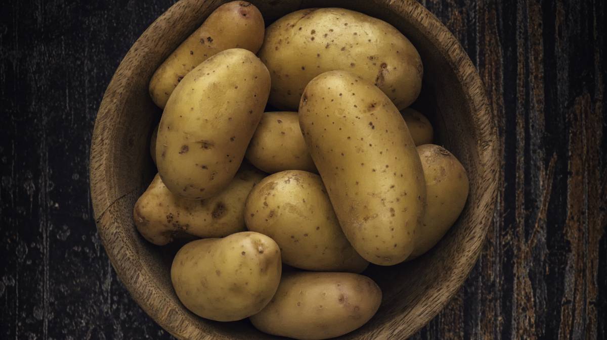 Asar, cocer o freír: de los más de 100 tipos de patatas, esta es la que sirve para todo