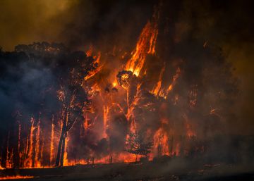 Cielos teñidos de rojo, columnas ardientes y paisajes devastados. Retrato de Australia en llamas