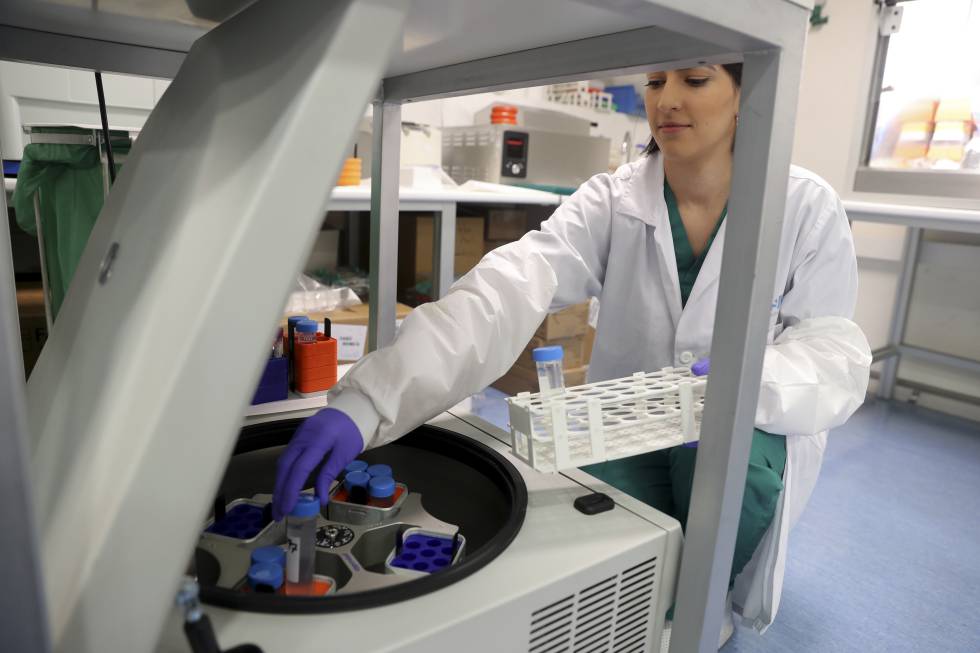 A researcher deposits blood samples in the centrifuge.