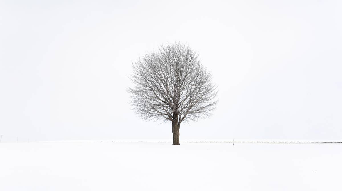 Las imágenes del día, 30012020