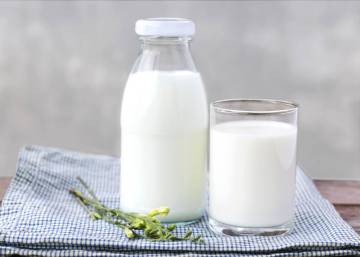 Kefir El Lacteo Perfecto Para Quienes Les Sienta Mal La Leche Tiene Alternativa Vegana Buenavida El Pais