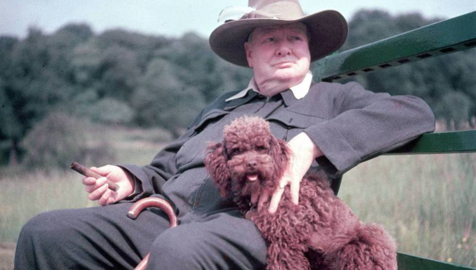 Winston Churchill en su finca de Chartwell en 1950.