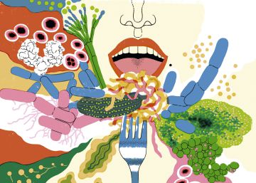 ¡Fermentad, fermentad malditos! Una moda que ya conocía la tía Asunción