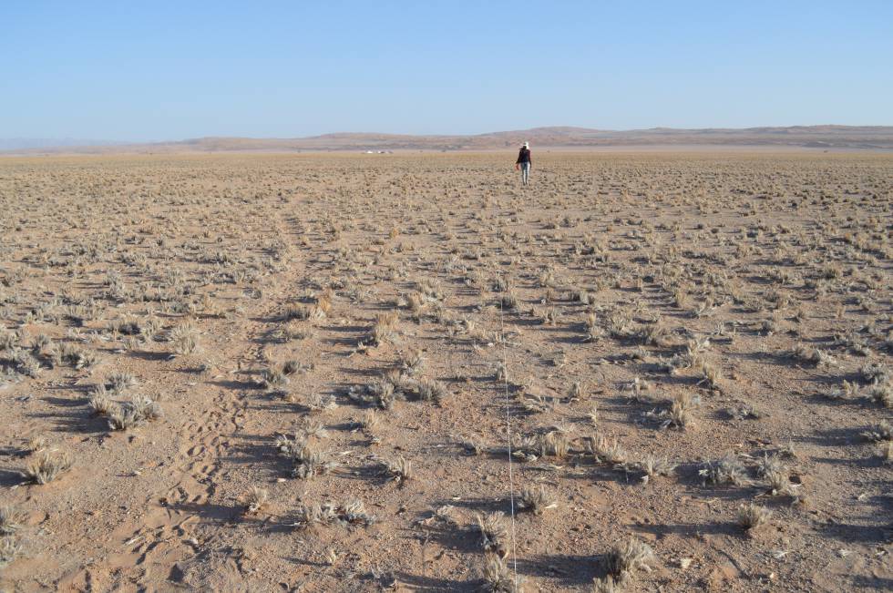 Zonas como el Mar de Arena de Namibia, en la imagen, serán aún más áridas.