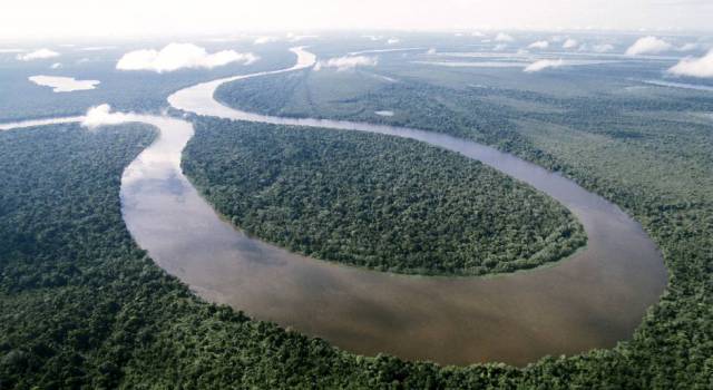 Una iniciativa perpetua para conservar el planeta