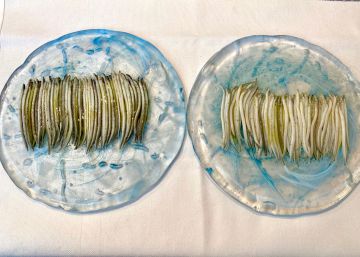 ¿A qué saben las angulas?