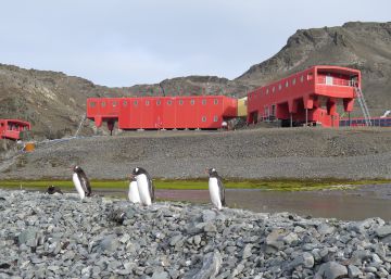 Los termómetros se vuelven locos en la Antártida