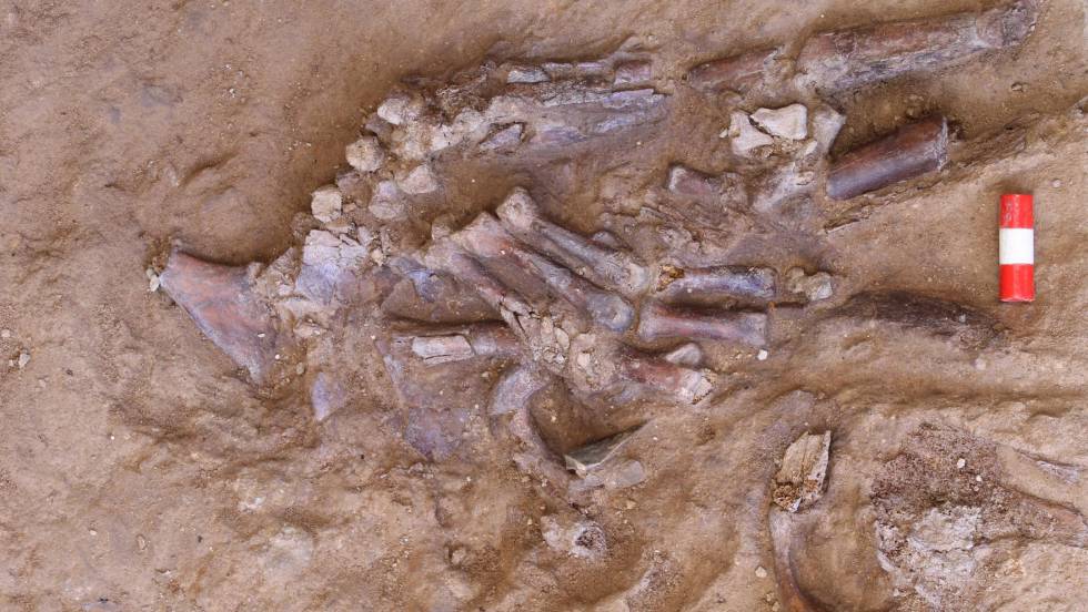 Cueva de Shanidar: El cementerio que convirtió a los neandertales en  humanos | Ciencia | EL PAÍS