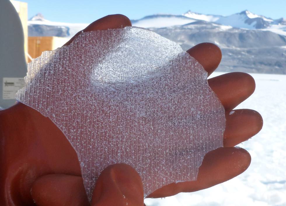 Fina sección de uno de los cilindros de hielo extraídos del glaciar Taylor, en la Antártida, en la que se pueden apreciar las burbujas de aire atrapado hace siglos o milenios.