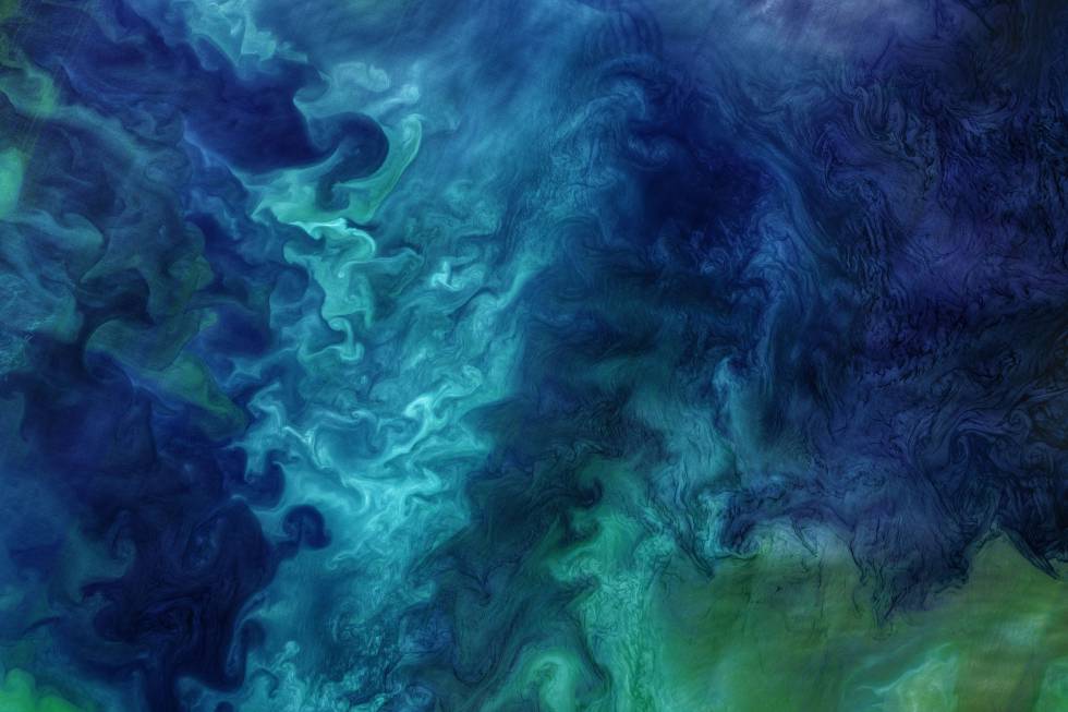 Explosión de vida. Cada primavera, el deshielo en el mar de Chukotka expone el océano a la luz del Sol, lo que provoca el florecimiento masivo del fitoplancton que está en la base del ecosistema.