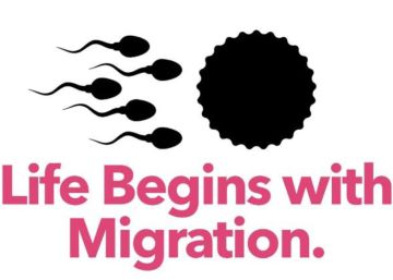 Manual para reemplazar el discurso del odio