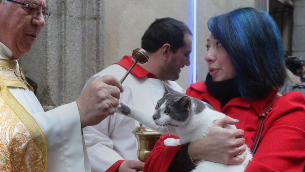 Bendición de animales en la Iglesia de San Antón, en el centro de Madrid.