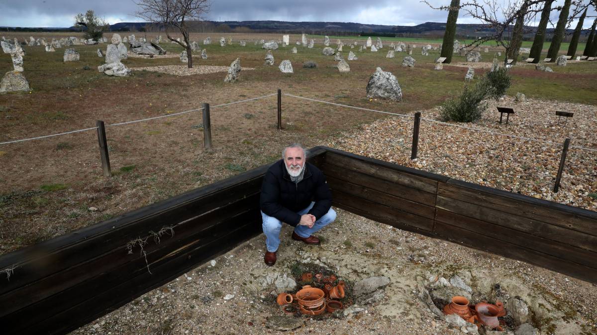 Pintia, 125 hectáreas de yacimiento céltico