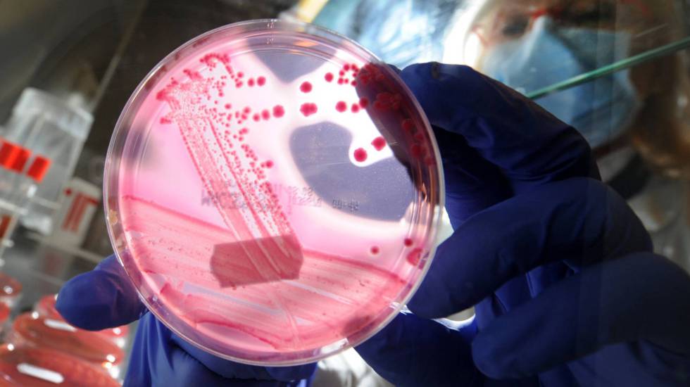 La verdad sobre el microbioma