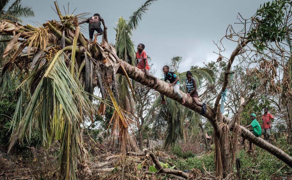 Unos niños trepan por un cocotero derribado tras el paso del ciclón Idai en Beira, Mozambique, el 27 de marzo de 2019. Decenas de miles de víctimas fallecieron a causa de un desastre natural empeorado por el cambio climático.
