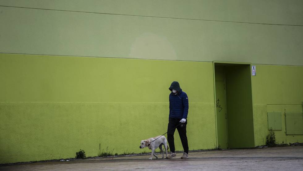 Una persona pasea a su perro en Madrid este lunes.