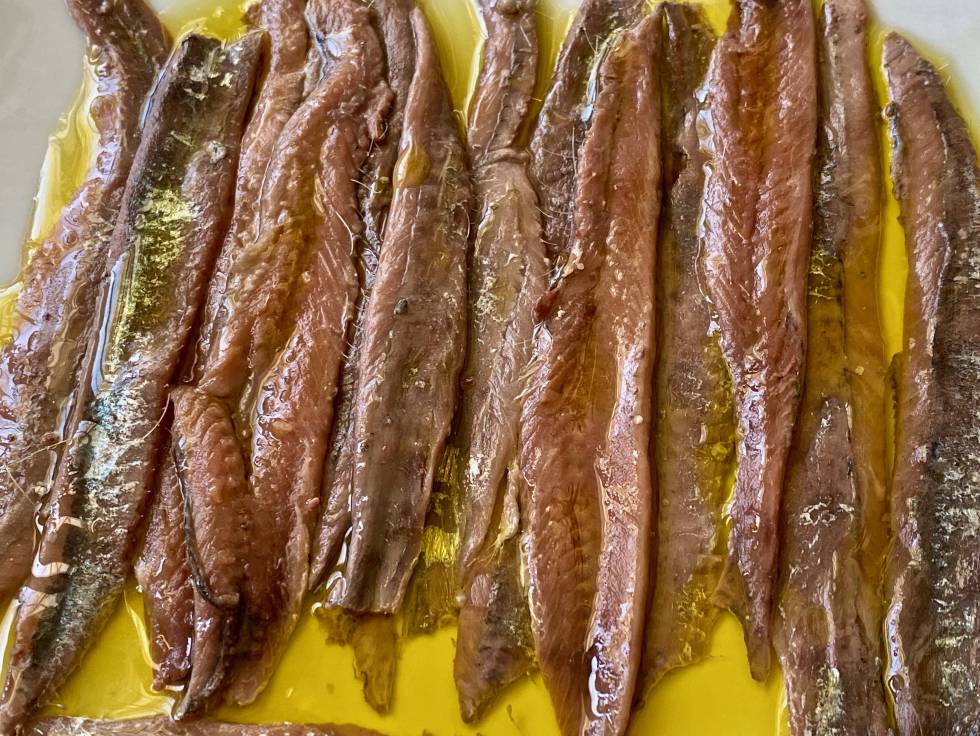 ¿Cómo están más ricas las anchoas?