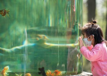 La humanidad frente al espejo