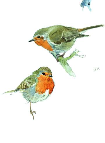 Dibujos de Lars Jonsson.