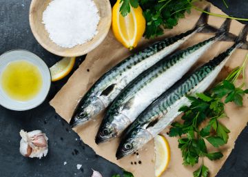 El poderoso aporte de omega-3 de la caballa, el gran olvidado de los pescados azules