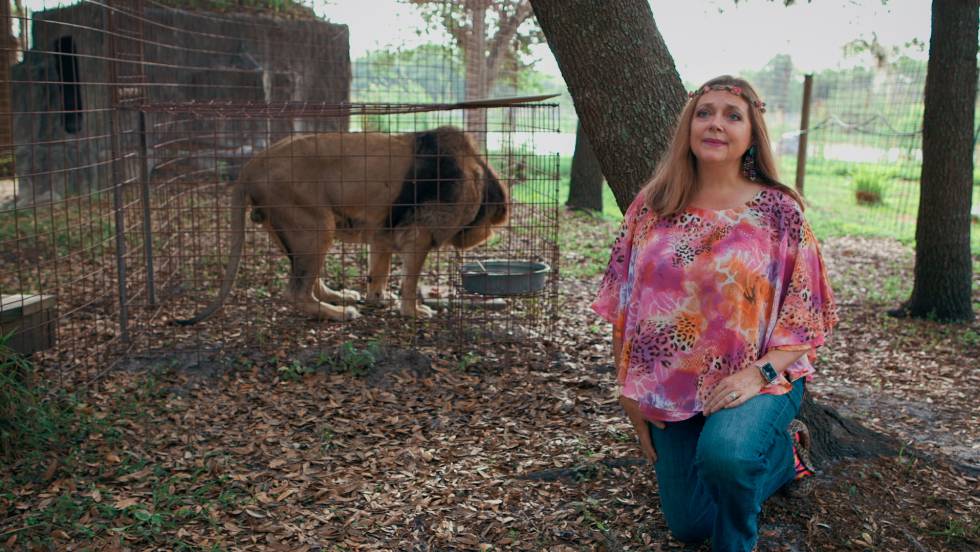 Carole Baskin, presidenta de Big Cat Rescue, fue el objetivo de Joe Exotic. El paradero de su marido millonario sigue siendo un misterio.