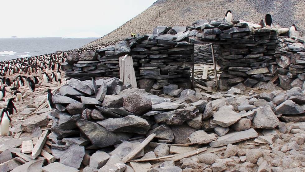 Restos del refugio que la tripulación del 'Antartic' construyó en la isla Paulet para sobrevivir al invierno de 1902.