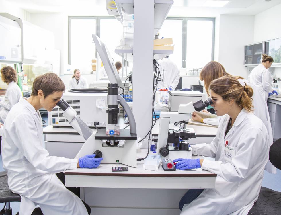Laboratorio de la universidad Humanitas en la que el profesor Mantovani investiga acerca del Covid-19 gracias a fondos proporcionados por Dolce & Gabbana.