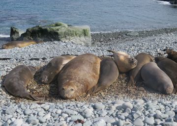 El plástico que envenena el sur del mundo