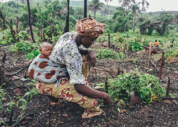 Derrocar a un tirano o llevar a la justicia a una petrolera, lo mucho positivo que sucedió en África en 2019