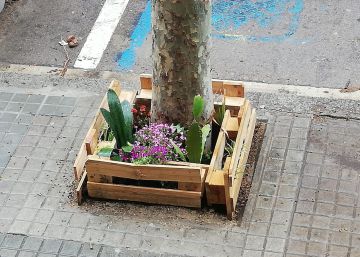 Verde desde mi ventana