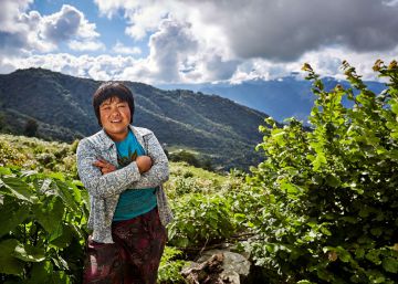 Regenerando el Himalaya