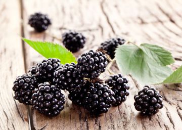 La diferencia entre las moras silvestres y las de supermercado